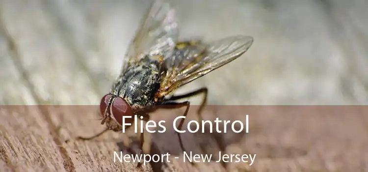 Flies Control Newport - New Jersey