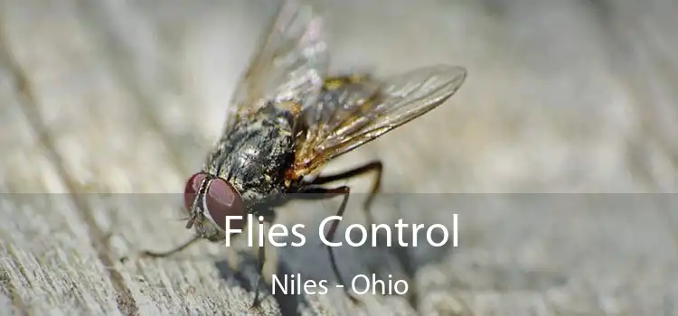 Flies Control Niles - Ohio