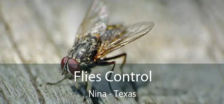 Flies Control Nina - Texas