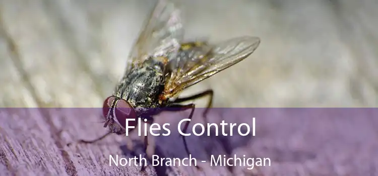 Flies Control North Branch - Michigan