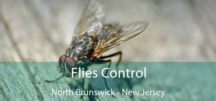 Flies Control North Brunswick - New Jersey