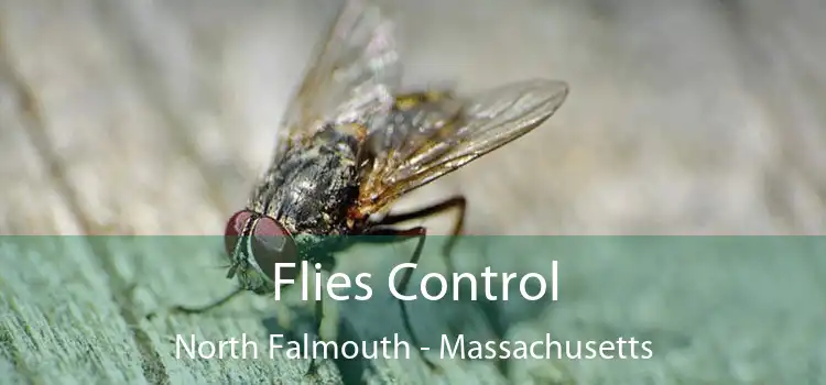 Flies Control North Falmouth - Massachusetts