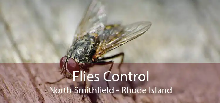Flies Control North Smithfield - Rhode Island