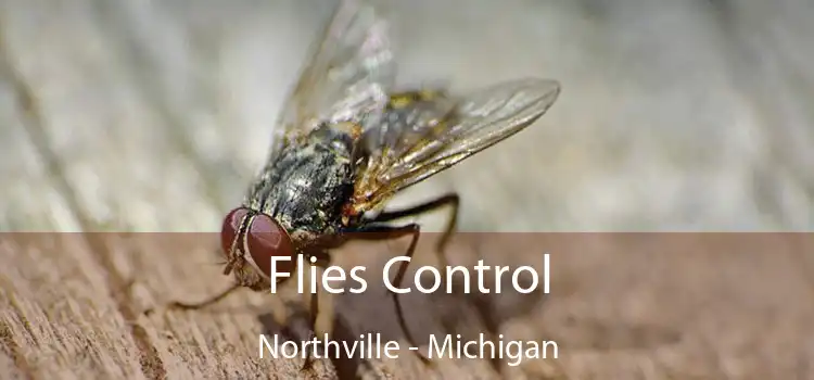 Flies Control Northville - Michigan