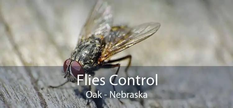 Flies Control Oak - Nebraska