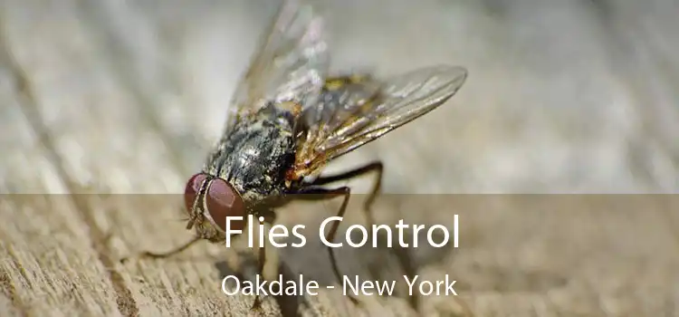 Flies Control Oakdale - New York