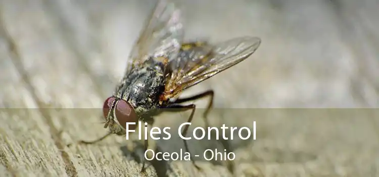 Flies Control Oceola - Ohio