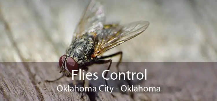 Flies Control Oklahoma City - Oklahoma