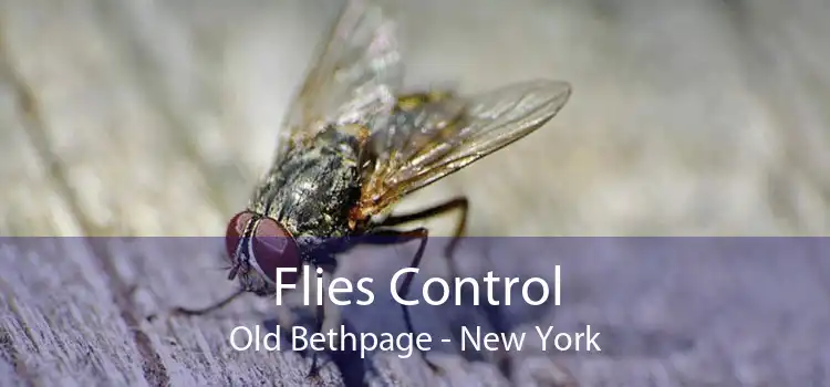 Flies Control Old Bethpage - New York