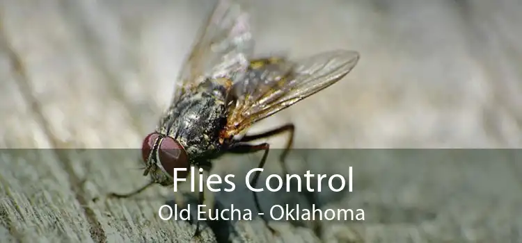 Flies Control Old Eucha - Oklahoma
