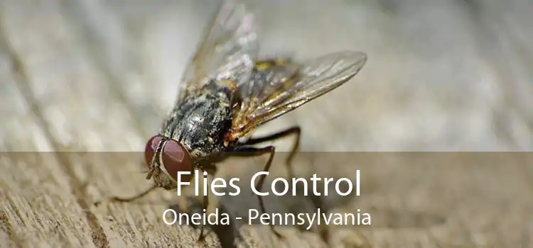 Flies Control Oneida - Pennsylvania