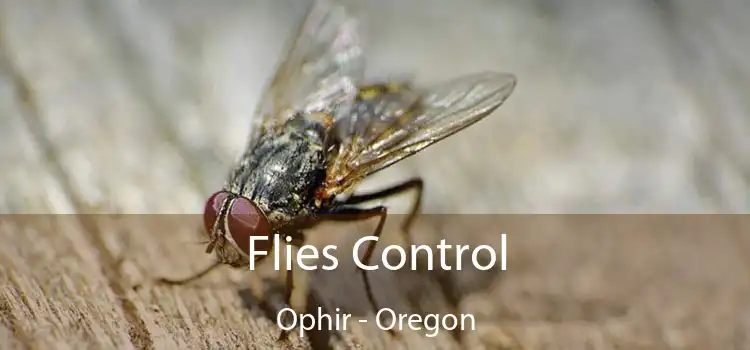 Flies Control Ophir - Oregon