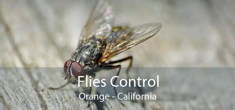 Flies Control Orange - California
