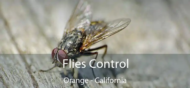 Flies Control Orange - California