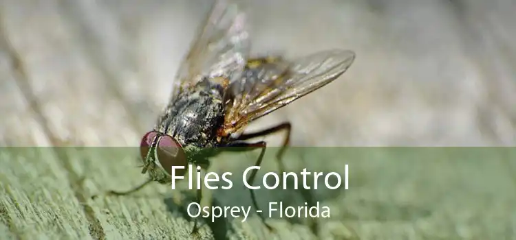 Flies Control Osprey - Florida