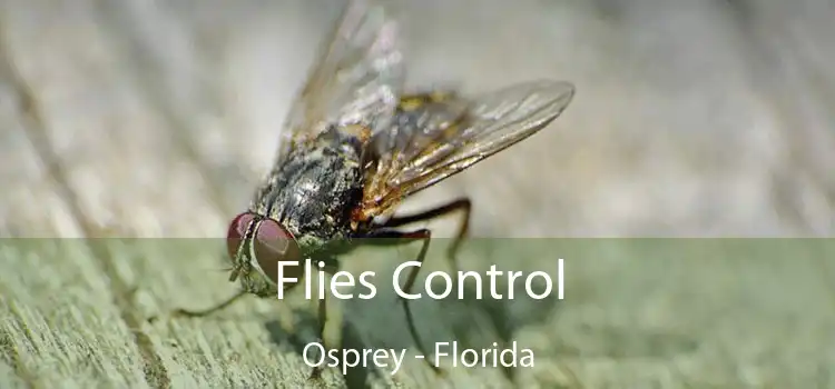 Flies Control Osprey - Florida