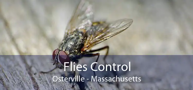 Flies Control Osterville - Massachusetts