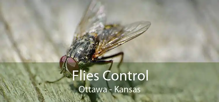 Flies Control Ottawa - Kansas