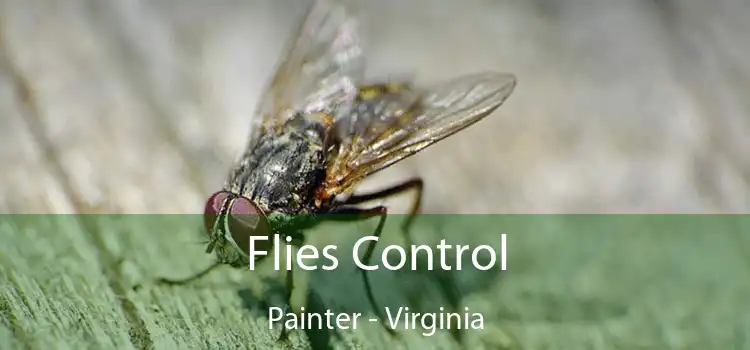 Flies Control Painter - Virginia