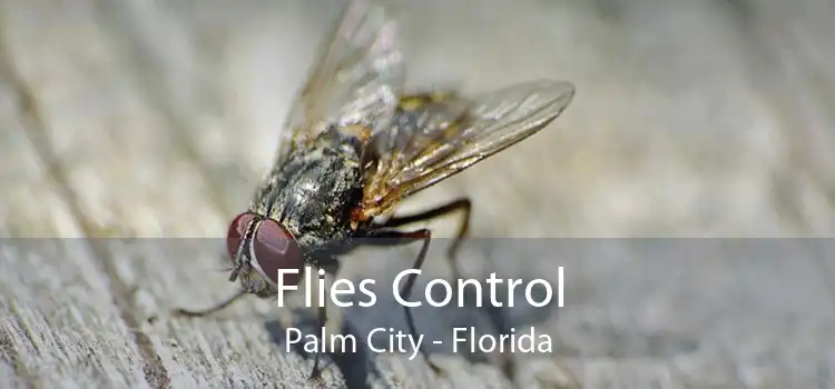 Flies Control Palm City - Florida
