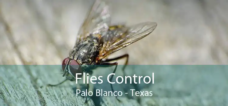 Flies Control Palo Blanco - Texas