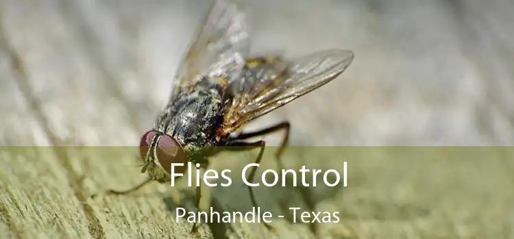 Flies Control Panhandle - Texas