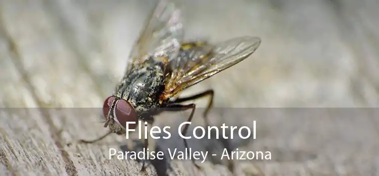 Flies Control Paradise Valley - Arizona