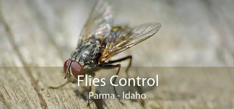 Flies Control Parma - Idaho