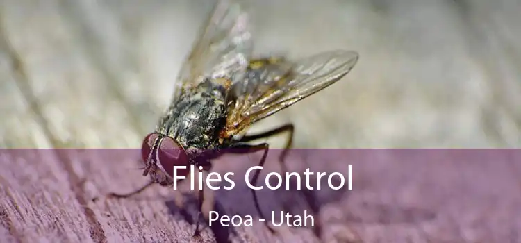 Flies Control Peoa - Utah