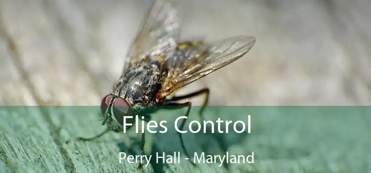 Flies Control Perry Hall - Maryland