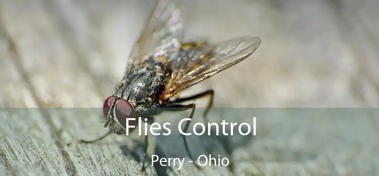 Flies Control Perry - Ohio