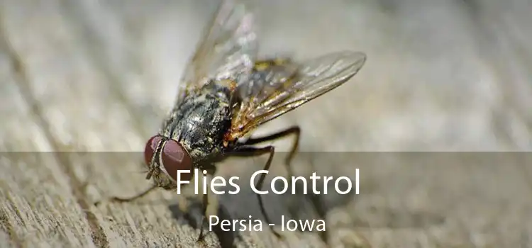 Flies Control Persia - Iowa
