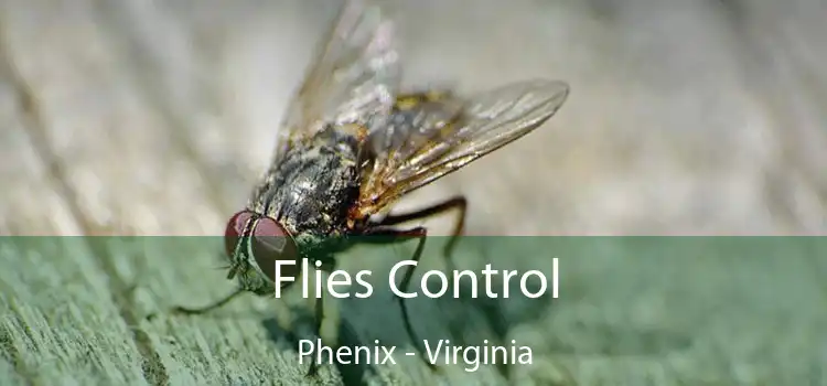 Flies Control Phenix - Virginia