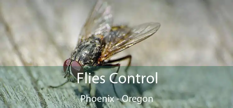 Flies Control Phoenix - Oregon