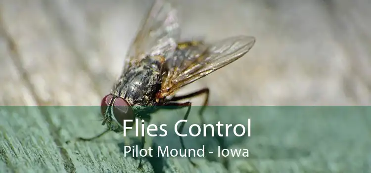Flies Control Pilot Mound - Iowa