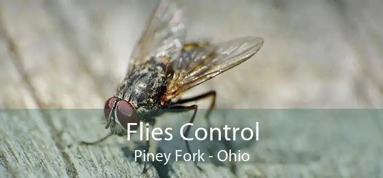Flies Control Piney Fork - Ohio