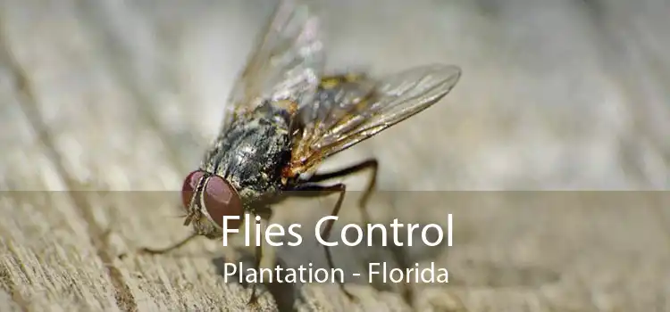 Flies Control Plantation - Florida