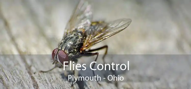 Flies Control Plymouth - Ohio