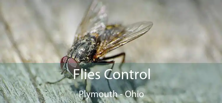 Flies Control Plymouth - Ohio