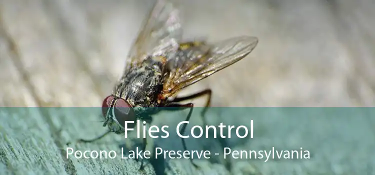Flies Control Pocono Lake Preserve - Pennsylvania