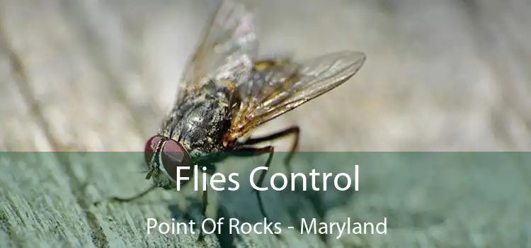 Flies Control Point Of Rocks - Maryland