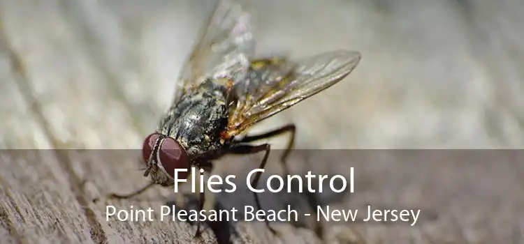 Flies Control Point Pleasant Beach - New Jersey