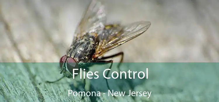 Flies Control Pomona - New Jersey