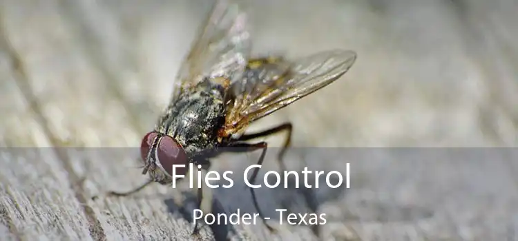 Flies Control Ponder - Texas