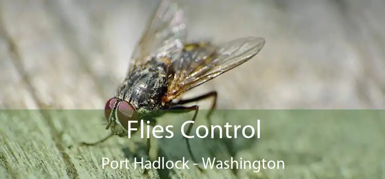 Flies Control Port Hadlock - Washington