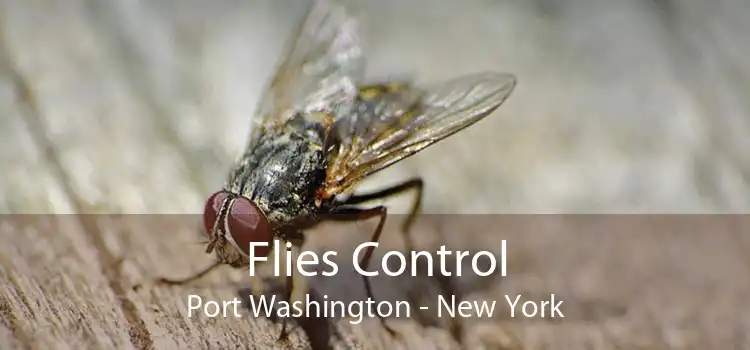 Flies Control Port Washington - New York