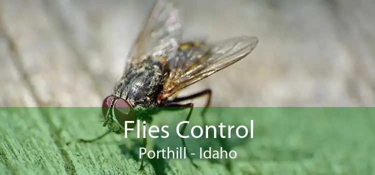 Flies Control Porthill - Idaho