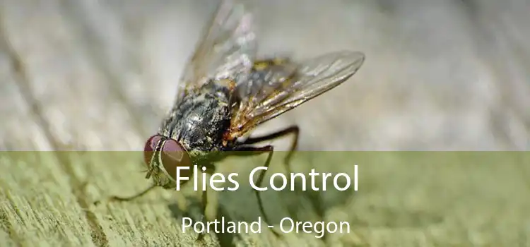 Flies Control Portland - Oregon