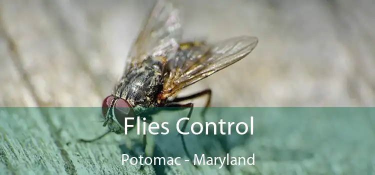 Flies Control Potomac - Maryland