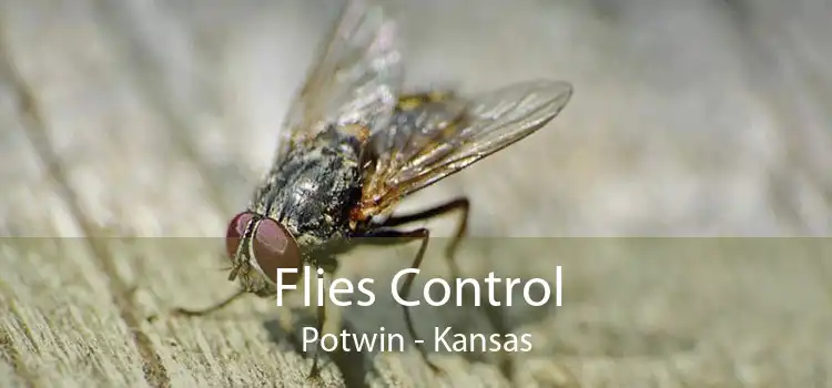 Flies Control Potwin - Kansas